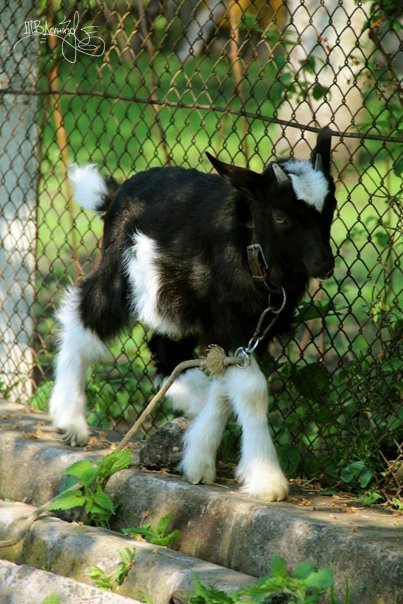 Фотовиставка Тетяни Должко